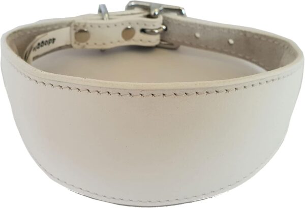 Italian Greyhound Leather Collar Suede Padded Backing - Image 5