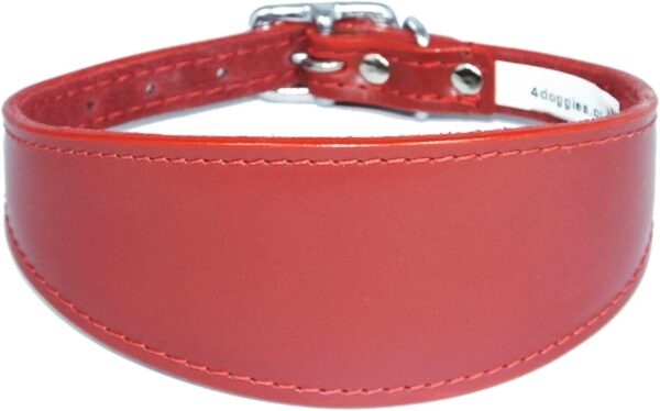 Italian Greyhound Leather Collar Suede Padded Backing - Image 3