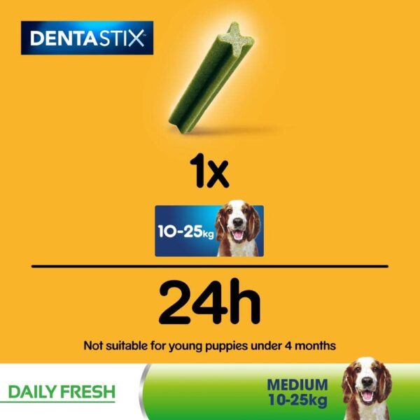 Pedigree Dentastix Medium Dog - Image 4