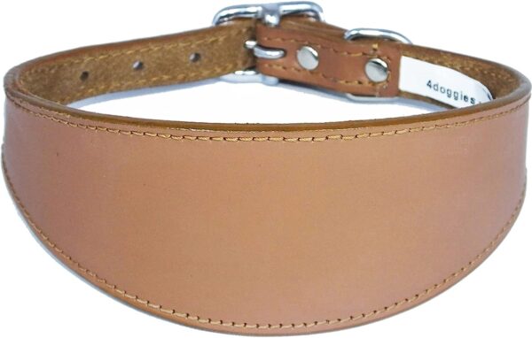 Italian Greyhound Leather Collar Suede Padded Backing - Image 4