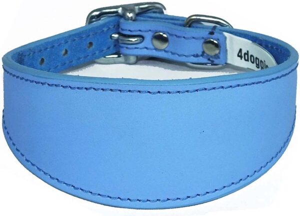 Italian Greyhound Leather Collar Suede Padded Backing - Image 8