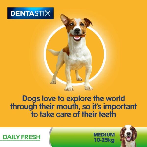 Pedigree Dentastix Medium Dog - Image 8