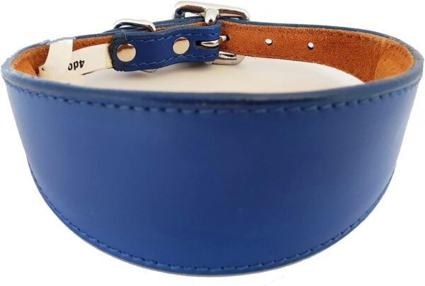 Italian Greyhound Leather Collar Suede Padded Backing - Image 7