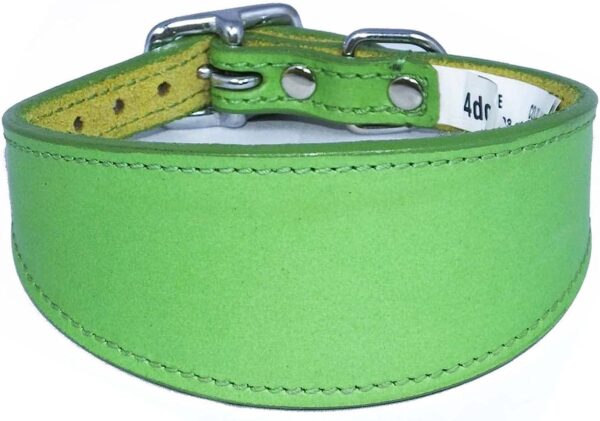 Italian Greyhound Leather Collar Suede Padded Backing - Image 9