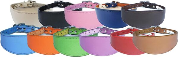 Italian Greyhound Leather Collar Suede Padded Backing