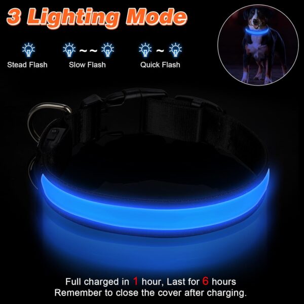 Benxdara Adjustable LED Light Up Dog Collar - Image 5